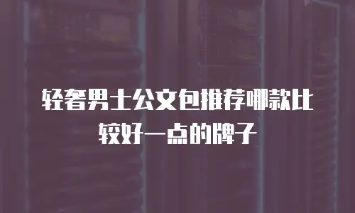 轻奢男士公文包推荐哪款比较好一点的牌子