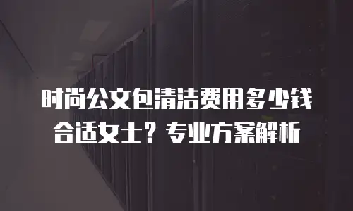 时尚公文包清洁费用多少钱合适女士？专业方案解析