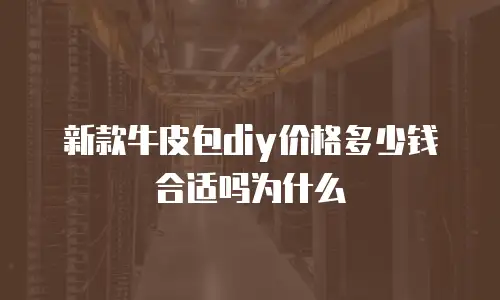 新款牛皮包diy价格多少钱合适吗为什么