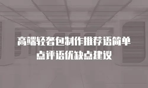 高端轻奢包制作推荐语简单点评语优缺点建议
