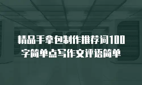 精品手拿包制作推荐词100字简单点写作文评语简单