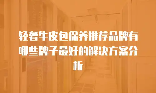 轻奢牛皮包保养推荐品牌有哪些牌子最好的解决方案分析