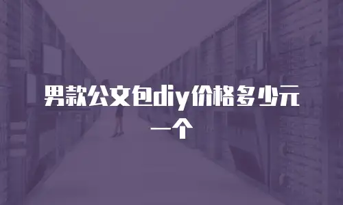 男款公文包diy价格多少元一个