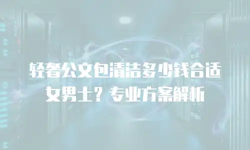 轻奢公文包清洁多少钱合适女男士？专业方案解析