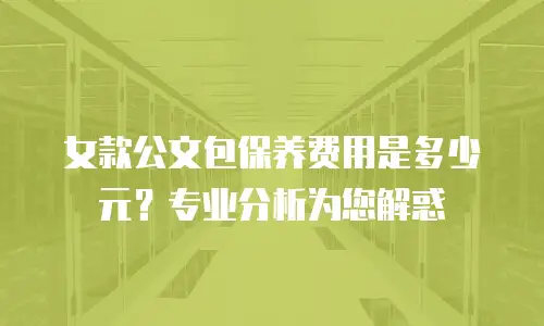 女款公文包保养费用是多少元？专业分析为您解惑