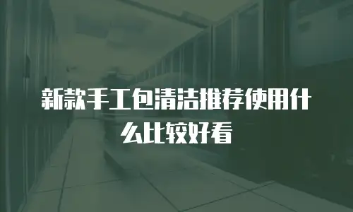 新款手工包清洁推荐使用什么比较好看