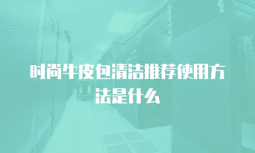 时尚牛皮包清洁推荐使用方法是什么