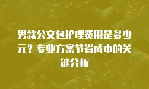 男款公文包护理费用是多少元？专业方案节省成本的关键分析
