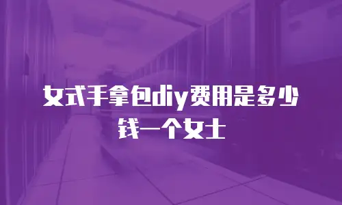 女式手拿包diy费用是多少钱一个女士