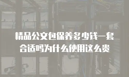 精品公文包保养多少钱一套合适吗为什么使用这么贵