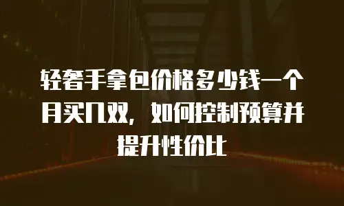 轻奢手拿包价格多少钱一个月买几双，如何控制预算并提升性价比