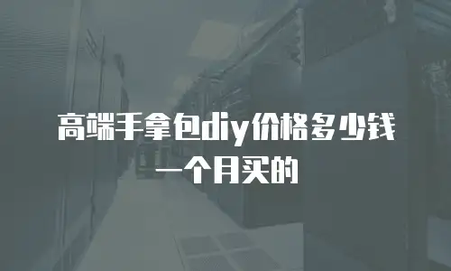 高端手拿包diy价格多少钱一个月买的