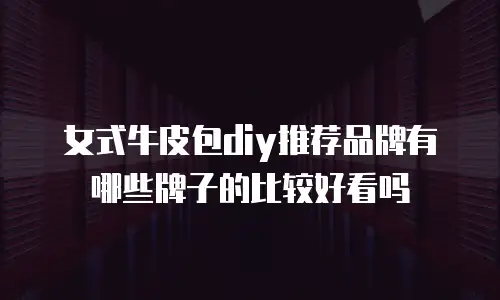 女式牛皮包diy推荐品牌有哪些牌子的比较好看吗
