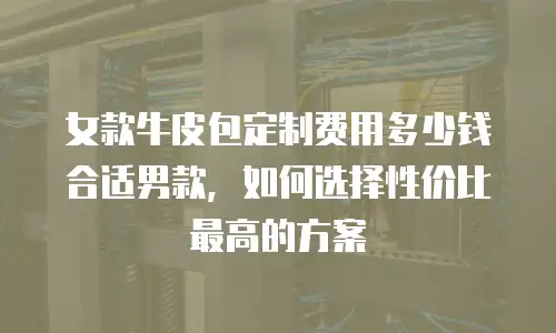 女款牛皮包定制费用多少钱合适男款，如何选择性价比最高的方案