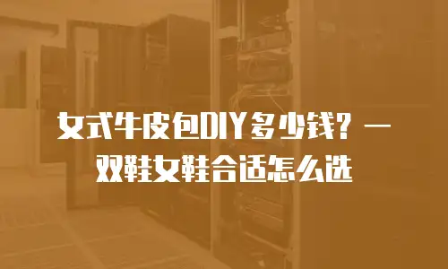 女式牛皮包DIY多少钱？一双鞋女鞋合适怎么选