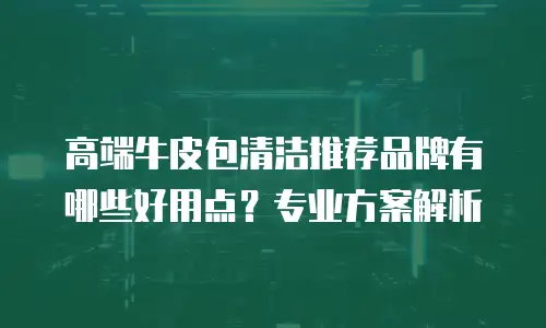 高端牛皮包清洁推荐品牌有哪些好用点？专业方案解析