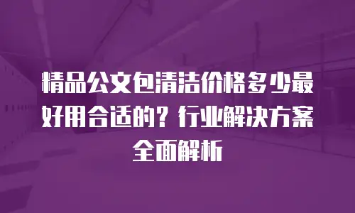 精品公文包清洁价格多少最好用合适的？行业解决方案全面解析