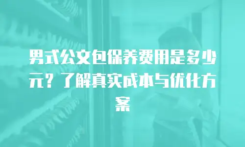 男式公文包保养费用是多少元？了解真实成本与优化方案