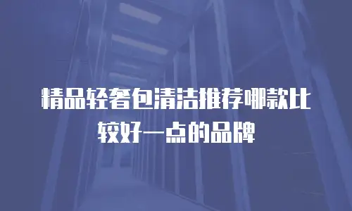 精品轻奢包清洁推荐哪款比较好一点的品牌
