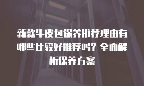 新款牛皮包保养推荐理由有哪些比较好推荐吗？全面解析保养方案