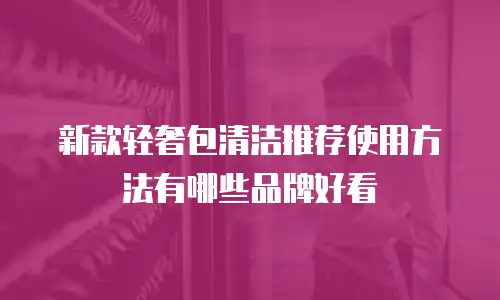 新款轻奢包清洁推荐使用方法有哪些品牌好看