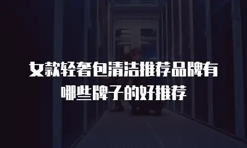 女款轻奢包清洁推荐品牌有哪些牌子的好推荐