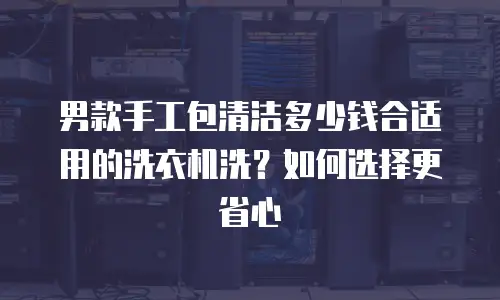 男款手工包清洁多少钱合适用的洗衣机洗？如何选择更省心