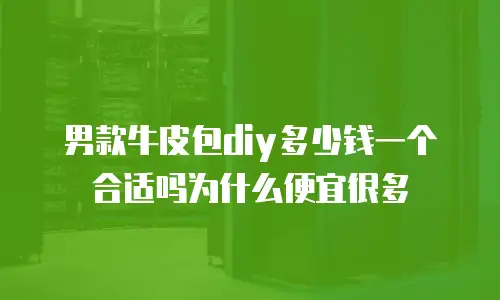 男款牛皮包diy多少钱一个合适吗为什么便宜很多
