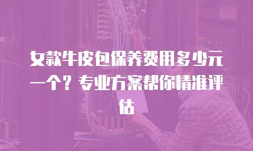 女款牛皮包保养费用多少元一个？专业方案帮你精准评估