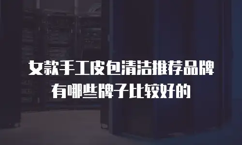 女款手工皮包清洁推荐品牌有哪些牌子比较好的