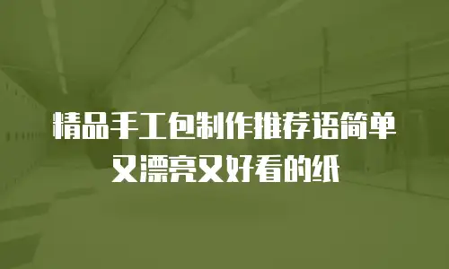 精品手工包制作推荐语简单又漂亮又好看的纸