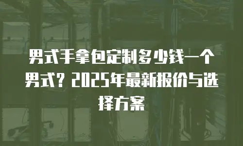 男式手拿包定制多少钱一个男式？2025年最新报价与选择方案