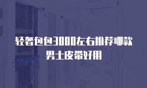 轻奢包包3000左右推荐哪款男士皮带好用