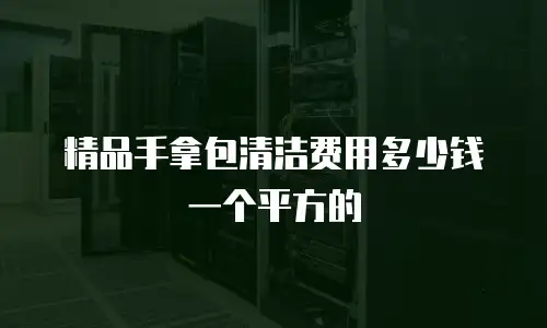 精品手拿包清洁费用多少钱一个平方的