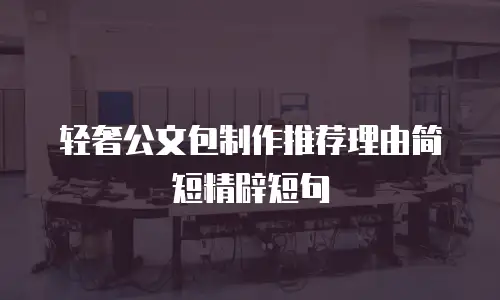 轻奢公文包制作推荐理由简短精辟短句