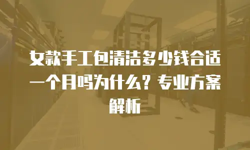 女款手工包清洁多少钱合适一个月吗为什么？专业方案解析