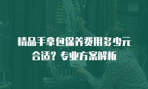 精品手拿包保养费用多少元合适？专业方案解析