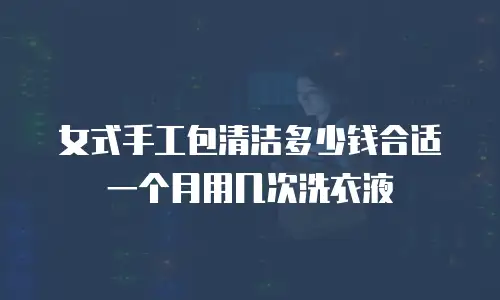 女式手工包清洁多少钱合适一个月用几次洗衣液