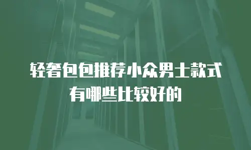轻奢包包推荐小众男士款式有哪些比较好的