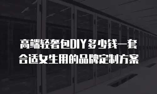 高端轻奢包DIY多少钱一套合适女生用的品牌定制方案