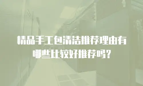 精品手工包清洁推荐理由有哪些比较好推荐吗？