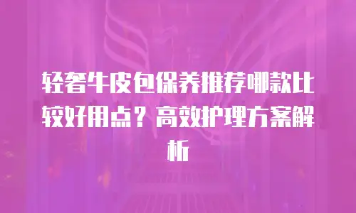 轻奢牛皮包保养推荐哪款比较好用点？高效护理方案解析