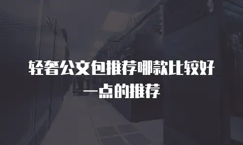 轻奢公文包推荐哪款比较好一点的推荐