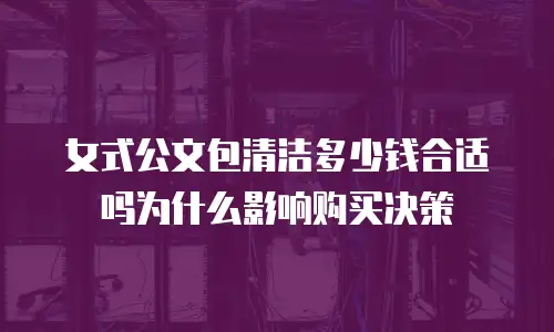 女式公文包清洁多少钱合适吗为什么影响购买决策