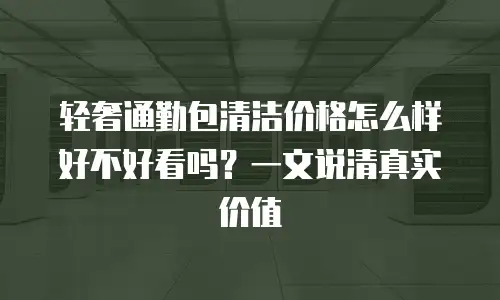 轻奢通勤包清洁价格怎么样好不好看吗？一文说清真实价值