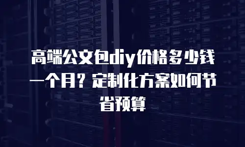 高端公文包diy价格多少钱一个月？定制化方案如何节省预算