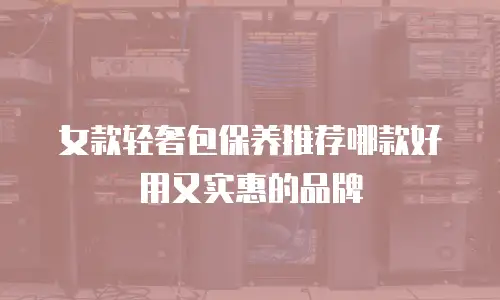 女款轻奢包保养推荐哪款好用又实惠的品牌