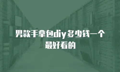 男款手拿包diy多少钱一个最好看的
