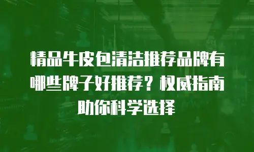 精品牛皮包清洁推荐品牌有哪些牌子好推荐？权威指南助你科学选择