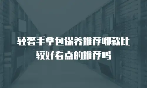 轻奢手拿包保养推荐哪款比较好看点的推荐吗
